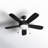 Stoller 44'' Ceiling Fan with LED Lights-1890736889-1930372187