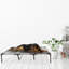 Polyester Pet Bed-563250370-563250492
