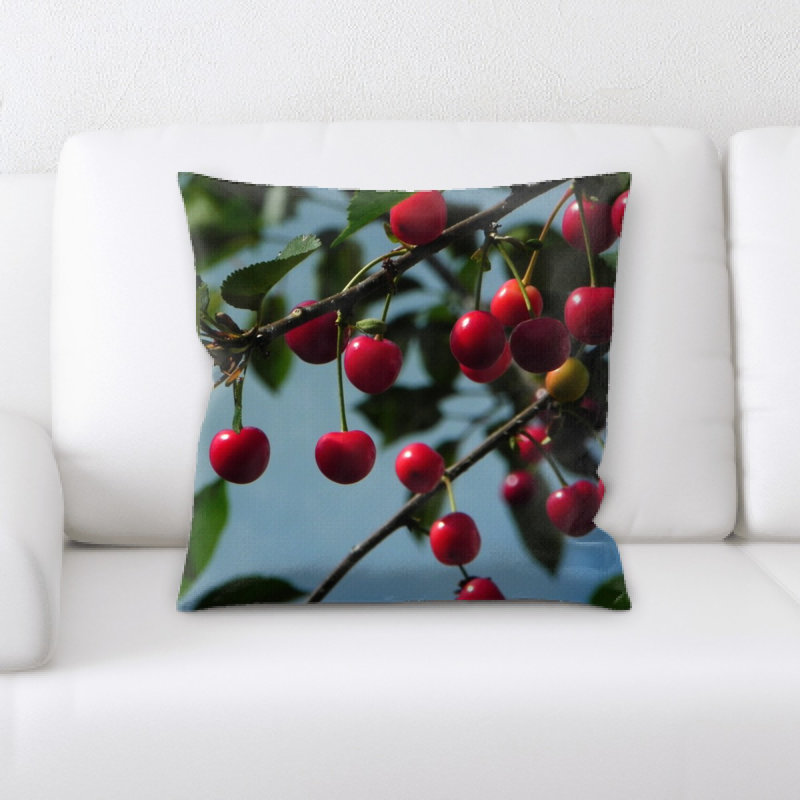 Coussin en cerises