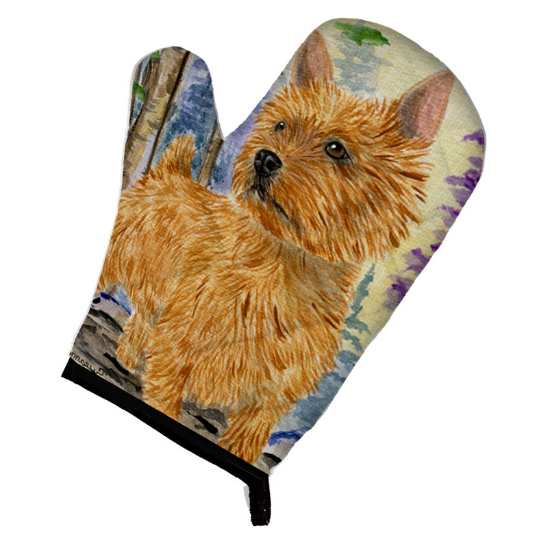 Terrier à four norwich east urban home