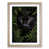 Oak Framed selected