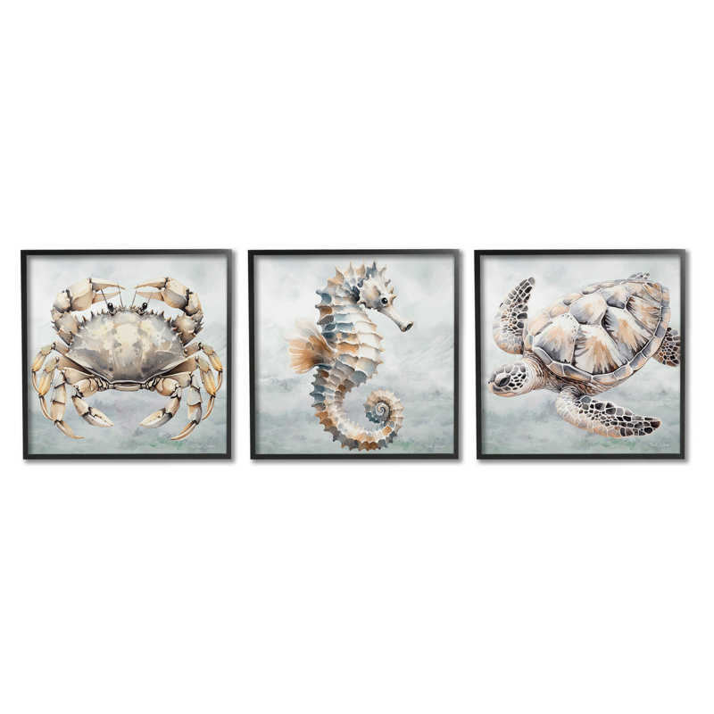 «Traditional Marine Life» par Nicole Decamp, 3 pièces sur toile, Giclée encadrée noir minuit, H 12 po x l 12 po