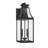 Byrne 2-Light Outdoor Wall Lantern in Matte Black