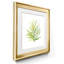 «Tropical Botanical I», ensemble de 2 reproductions d'art-764649059-764649062-764649052