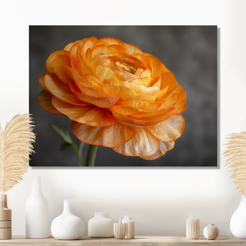Décoration murale orange et noir Ranunculus Bloom I - Renoncule, H 24 po x l 32 po, Métal métal