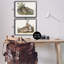«Gentle Resting Cottage Rabbit», ensemble de 2 giclées par Wild Apple Portfolio-1475653747-1475653745