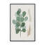 Earthy Greens in Bloom II, reproduction dans un cadre-425563656-425563697