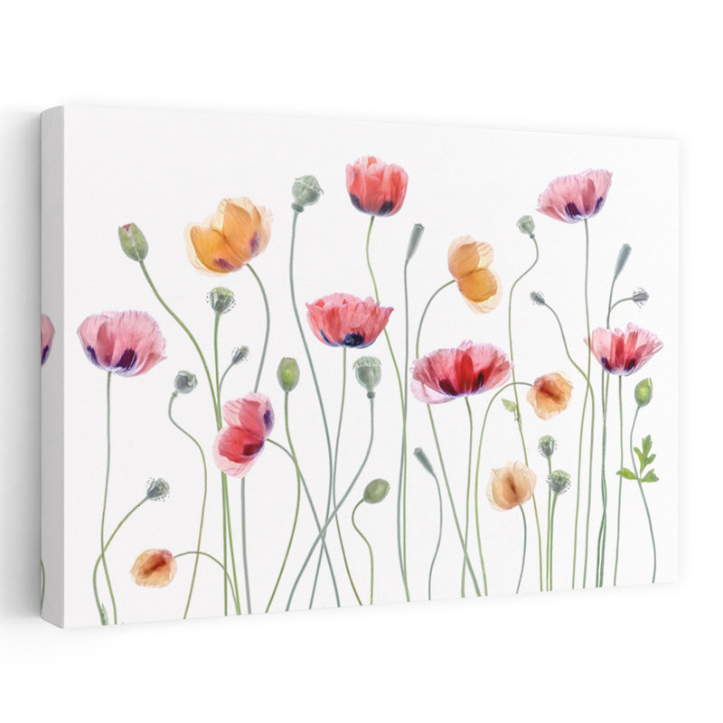 Art contemporain coquelicot, H 16 po x l 24 po