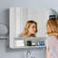 700mm W 630mm H Medicine Cabinet Mirror