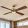 Camran 52'' Ceiling Fan with LED Lights