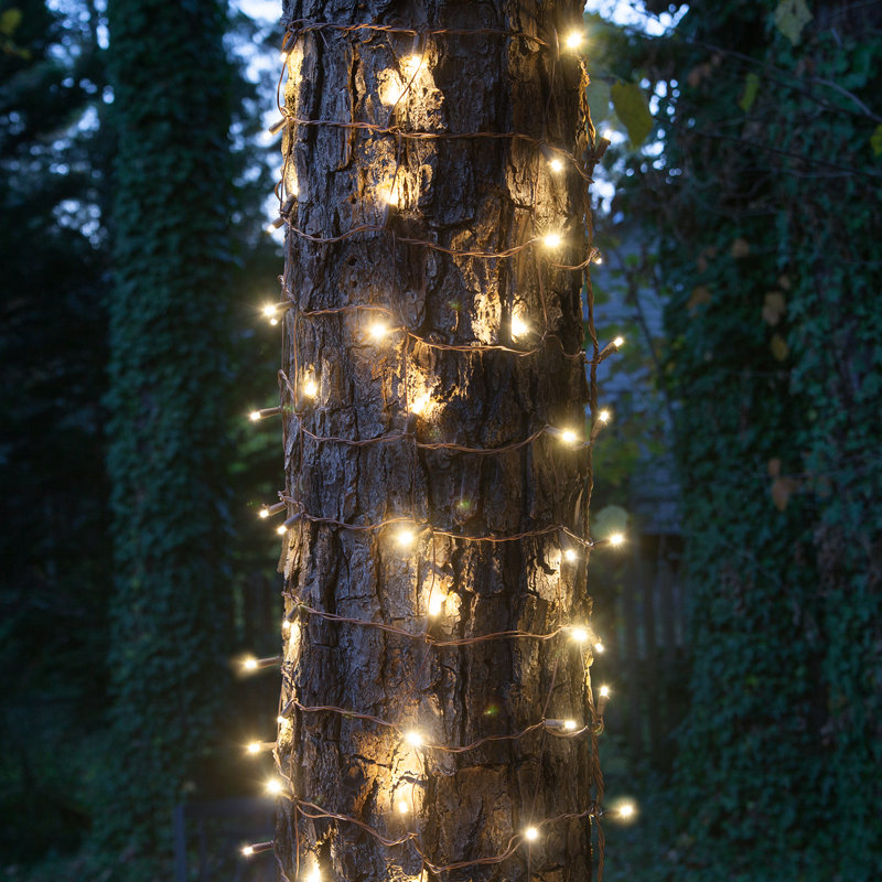 LED Net Lights, Warm White