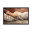 «The Invader» par Didier Laurenco - reproduction sur toile tendue-28198694-72557664-72557663