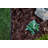 1.5" H Dig-Free Black Plastic Lawn Edging Kit-104438636