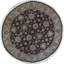 Wool Oriental Area Rug in Aubergine/Beige