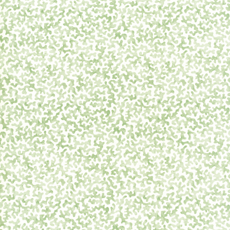 Coralcoast, Sage