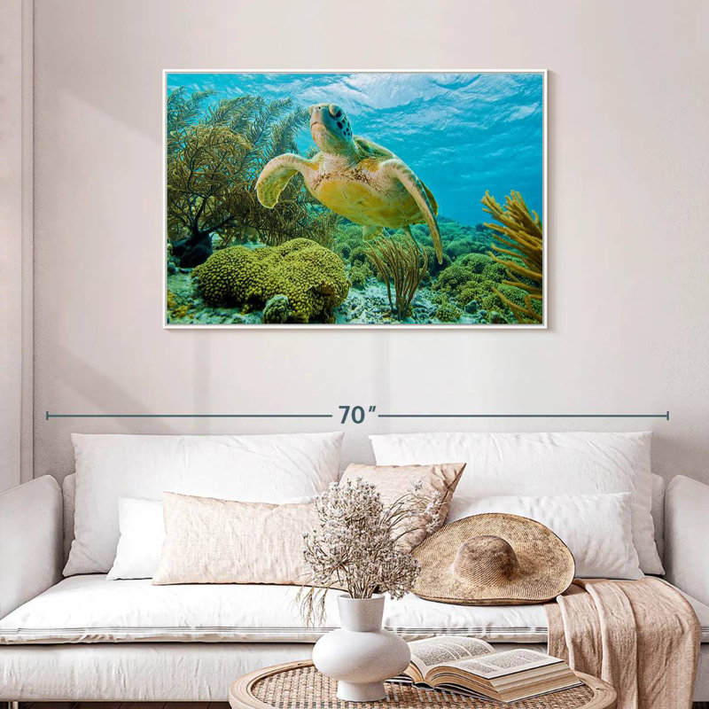 Tortue dans le récif de Bonaire, Cadre flottant blanc, 43 po x 29 po