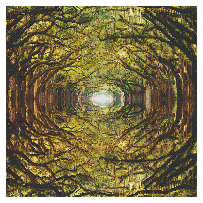 « codomines i », impression sur toile, H 12 po x l 12 po x P 1,5 po