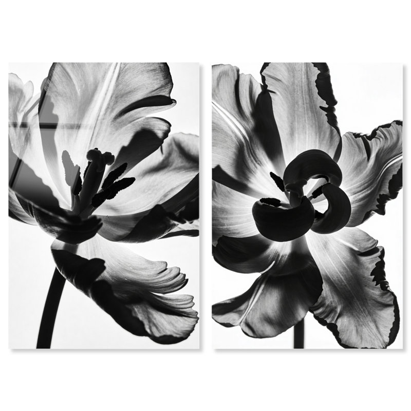 Close Up Set Set by Oliver Gal, 15" H x 10" W, High-Gloss Acrylic Print