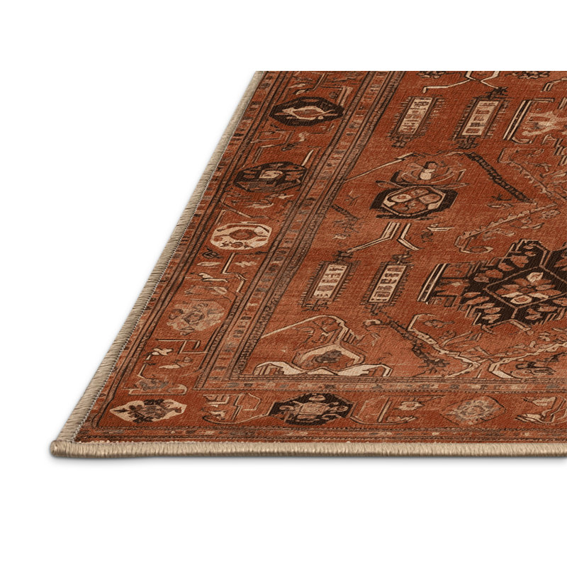 Machine Washable Turkish Brown Area Rug, Rectangle 8' x 10'