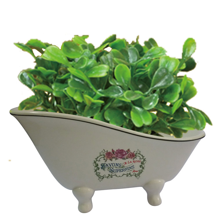 Kingston Brass Savons Superfins 8-1/16-Inch Mini Tub