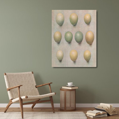 "Eggs of British Diving Ducks" by  Henrik Gronvold - Gallery Wrap Canvas Wall Art