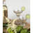 Celebration 9 oz. Margarita Glass