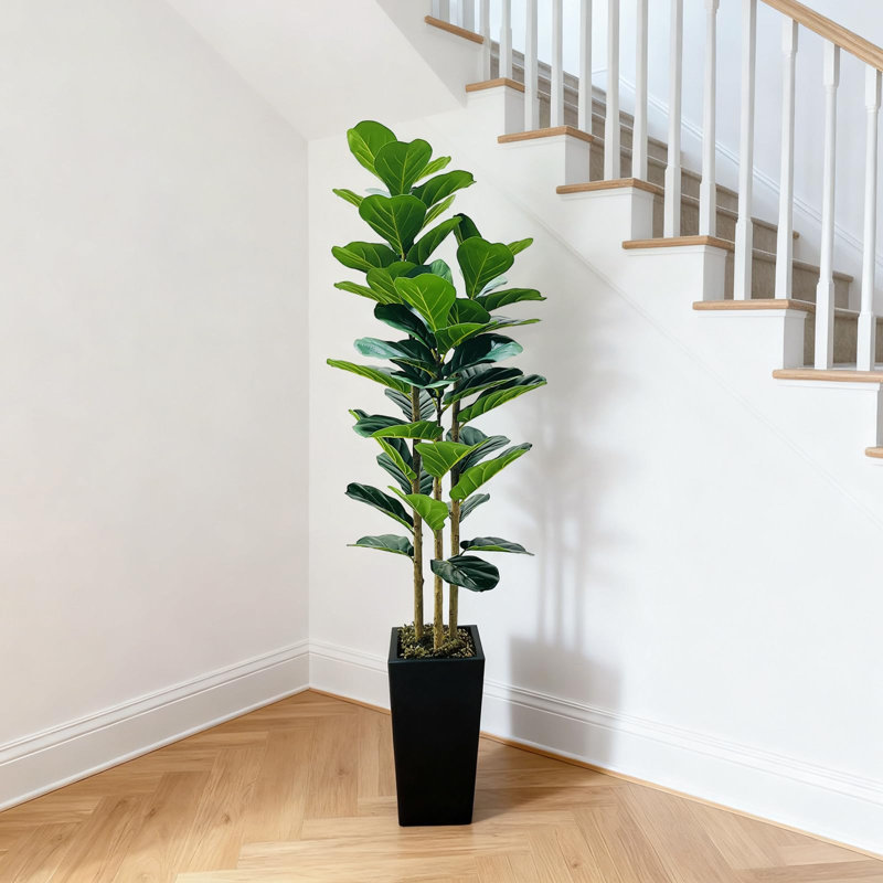 Plant, 150cm H x 17cm W x 17cm D, Black
