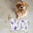 Purple Bliss - 1 Piece Bone Shape Feeding Mat-101634723