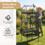 176 Bird Cage