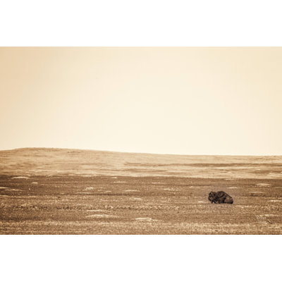 Badlands Guard sépia par Nathan Larson