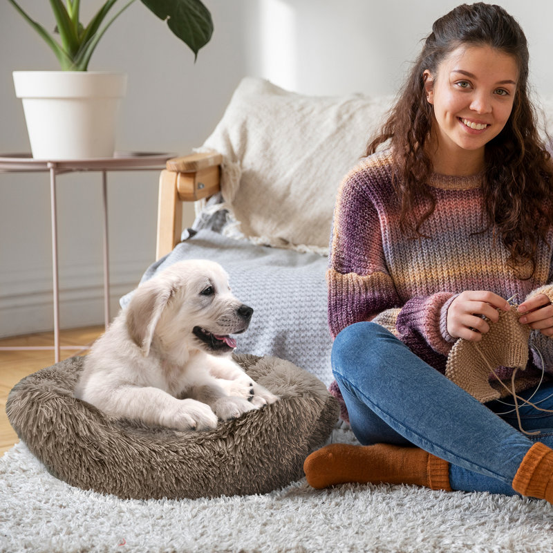 Lit pour chien Elam Super Lux Shaggy, Taupe, Moyen (l 24 po x P 20 po x H 7,5 po)