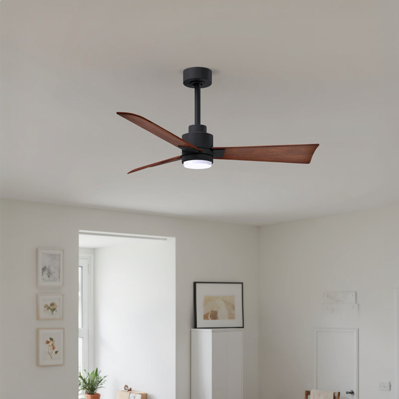 Alessandra - Three Blade Transitional Ceiling Fan -LED, Walnut, Matte Black, 42"