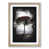 Oak Framed selected