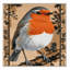  Tapis lavable European Robin Birds-628402988