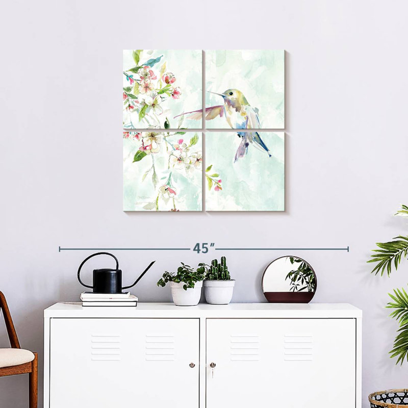 Colibri délicat Brampt IV