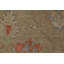 Tapis oriental floral Oushak 6 x 9