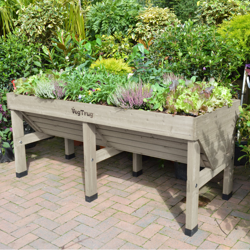 Medium Classic VegTrug - Gray Wash