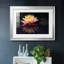 Photographie, étude, nénuphar encadré sur papier-1991958697-1991958702