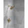 Rain Dual Shower Head with H2Okinetic Technology