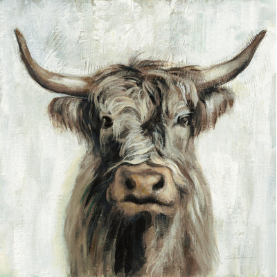 Vache Highland - brun
