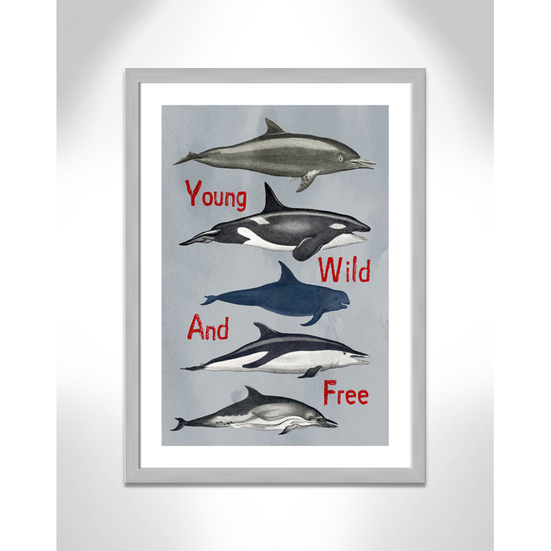 «Young and Wild», impression sur papier, H 34,5 po x l 24,5 po x P 0,6 po, Encadré plat argent