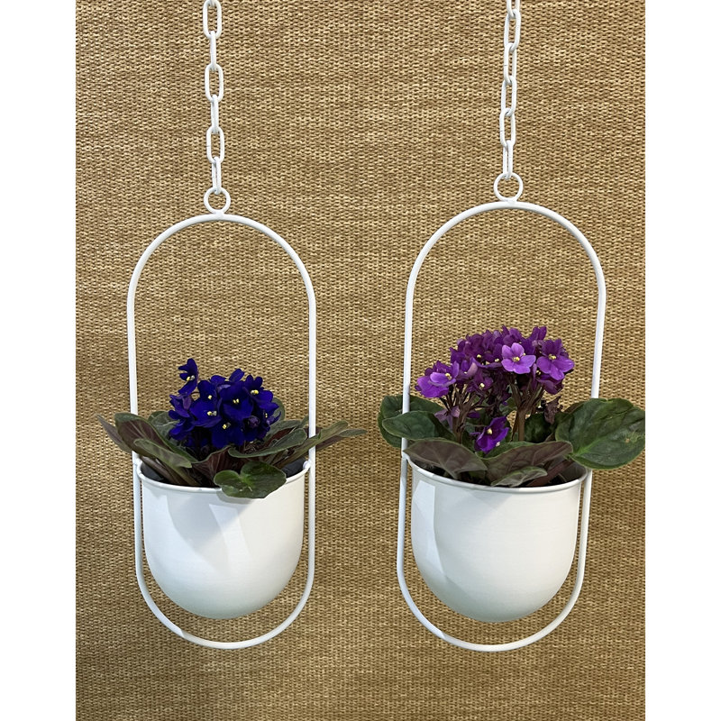 Ensemble de pots à fleurs suspendus en métal 2 pièces Zikomo, H 4,75 po x l 5 po