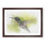 Hummingbird in Costa Rica in Abstract - Framed Print-55769140-55769141