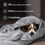 Bedsure Fitted Sheet Deep - Bed Sheets Extra Deep Pocket made of Soft Brushed Microfiber for Bed-1919075934-1919075907