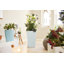 Cubico Planter Box-1415655775-1415655767