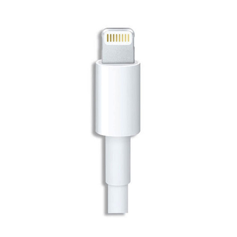 iPhone Data Cable