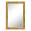 Madeleine Carved Classic Accent Mirror-149111704-140833763