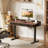 Marshun 48'' W Height Adjustable Rectangle Electric Standing Computer Desk  Home Office Desk with Drawers-907731117