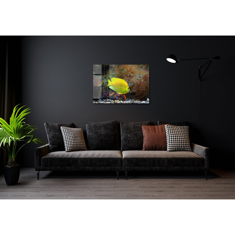 Verre 2, H 27,6 po x l 39,4 po x P 1 po