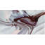 Motion Of Balance Painting by Irena Orlov